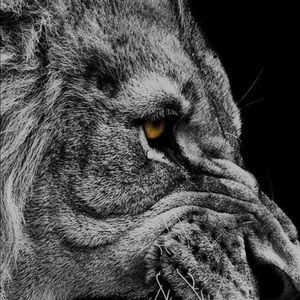 Meet your Posher, Cj